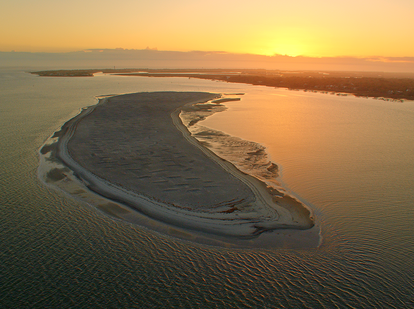 Visiting a Seabird Refuge: Wildlife Adventures