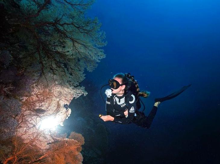 Exploring the Aquatic Realm: Guided Night Diving Experiences