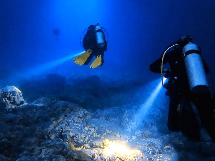 Underwater Exploration at Night: Guided Diving Encounters