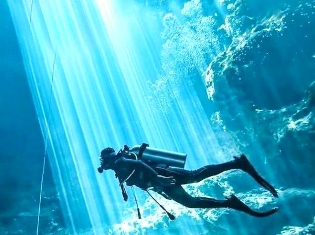 Navigating the Dark Seas: Night Diving with Professional Guides