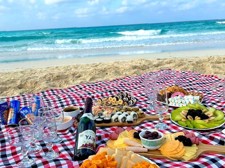 Peaceful seaside picnic experience on Vlasoff Cay.