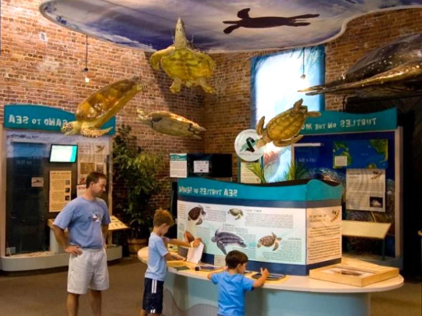 Touring a Center Dedicated to Sea Turtle Recovery
