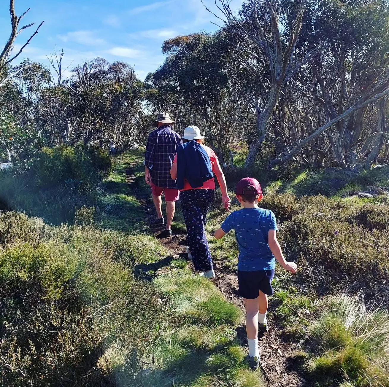 Bushwalking, Biking & Bliss in Summer (December–March)